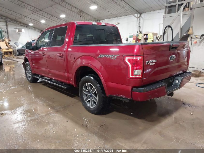 2016 FORD F-150 XLT - 1FTEW1EP5GFC81865