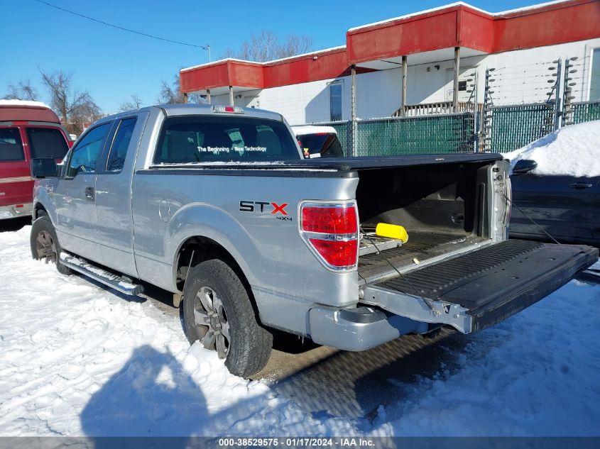 2013 FORD F-150 STX - 1FTFX1EF7DFC60942