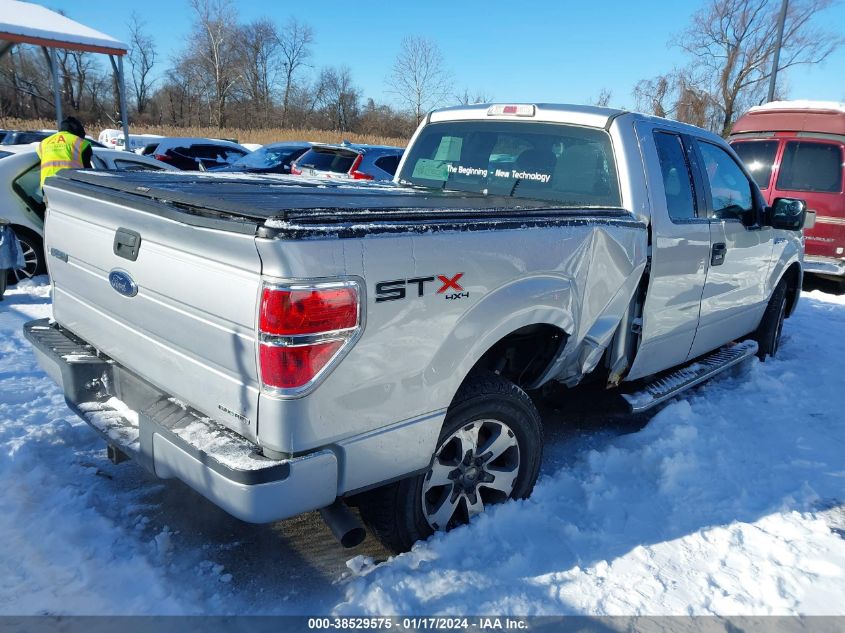 2013 FORD F-150 STX - 1FTFX1EF7DFC60942