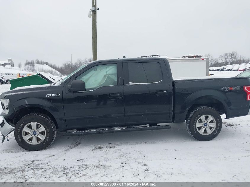 2019 FORD F-150 XLT - 1FTEW1EPXKFC21640