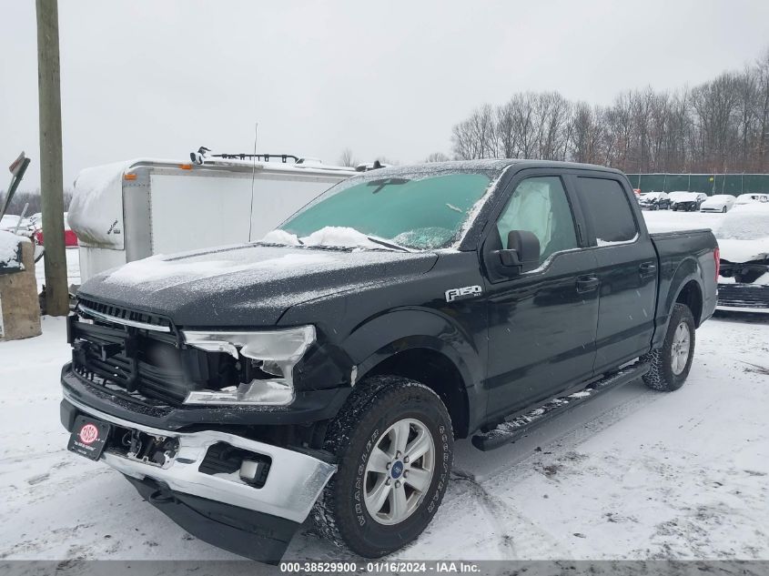 2019 FORD F-150 XLT - 1FTEW1EPXKFC21640