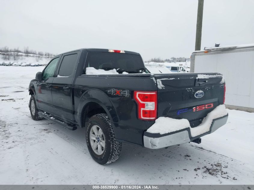 2019 FORD F-150 XLT - 1FTEW1EPXKFC21640