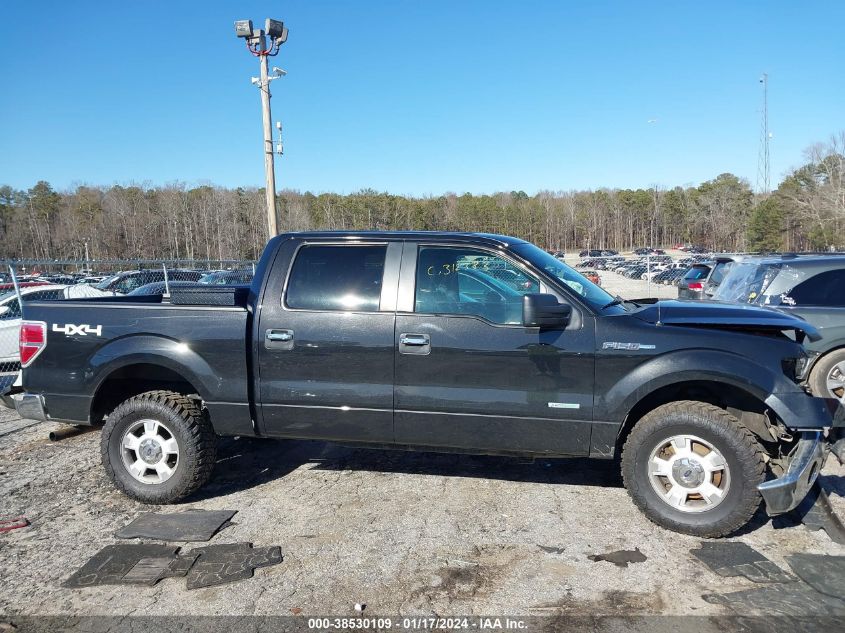 2014 FORD F-150 XLT - 1FTFW1ET2EFB48236