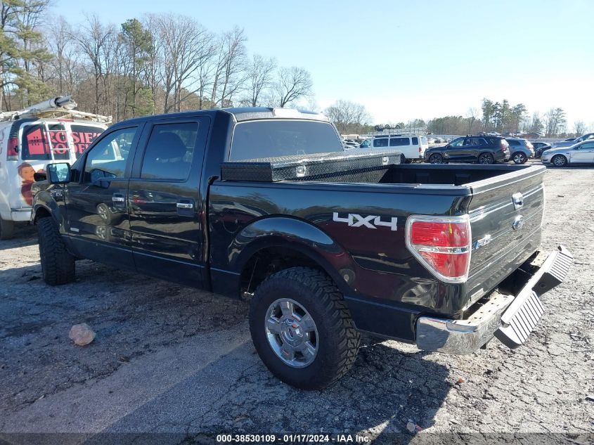 2014 FORD F-150 XLT - 1FTFW1ET2EFB48236