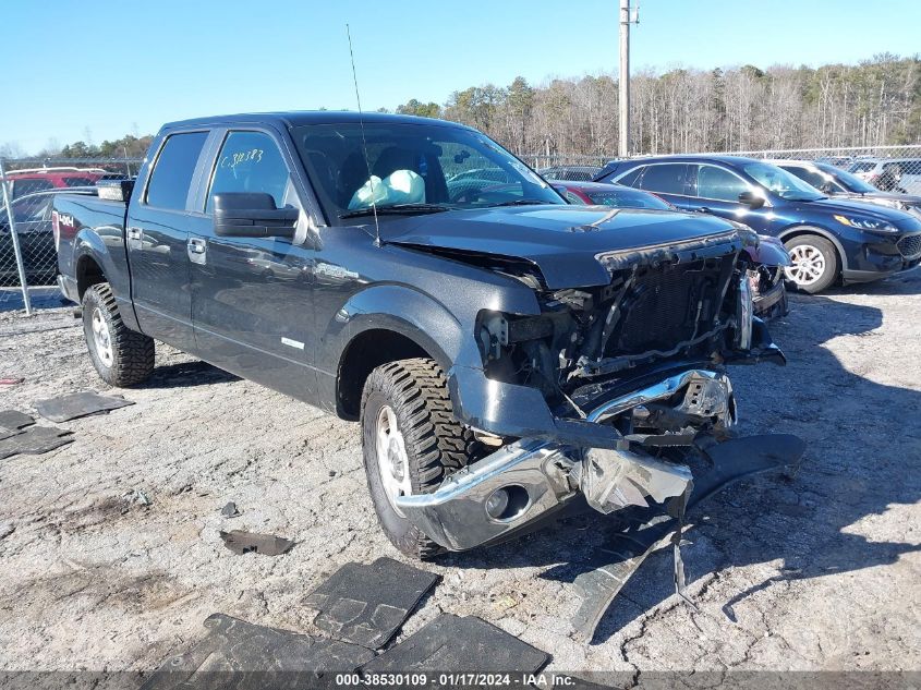 2014 FORD F-150 XLT - 1FTFW1ET2EFB48236