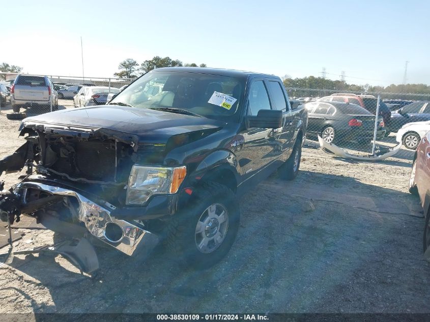 2014 FORD F-150 XLT - 1FTFW1ET2EFB48236