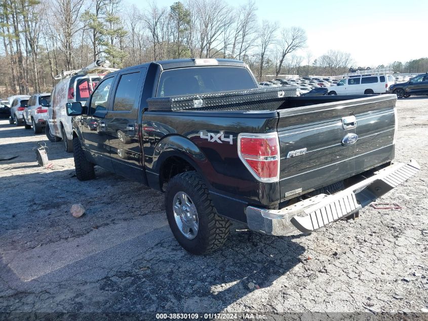 2014 FORD F-150 XLT - 1FTFW1ET2EFB48236