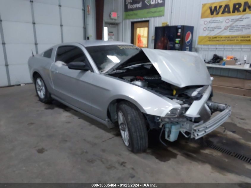 2014 FORD MUSTANG V6 - 1ZVBP8AM8E5284019