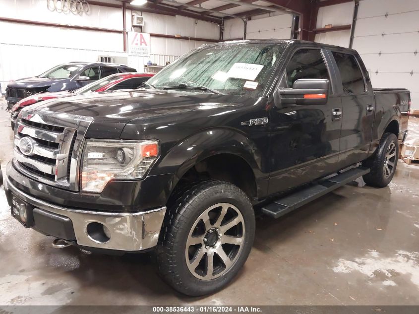 2014 FORD F-150 XLT - 1FTFW1EF9EFA29531