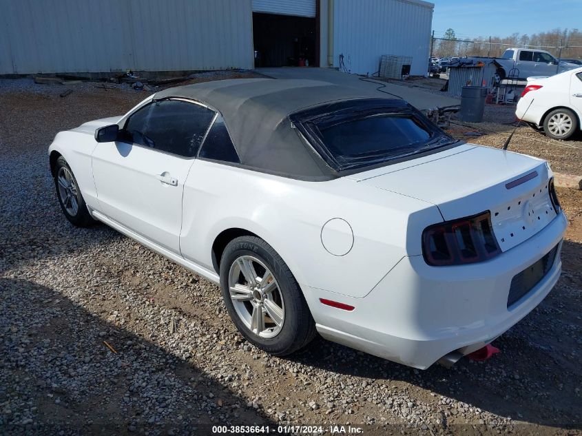 2014 FORD MUSTANG V6 - 1ZVBP8EMXE5208313