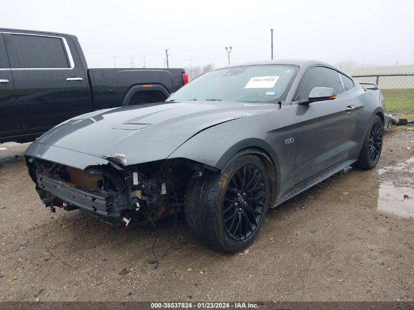 2021 FORD MUSTANG GT - 1FA6P8CF3M5135153