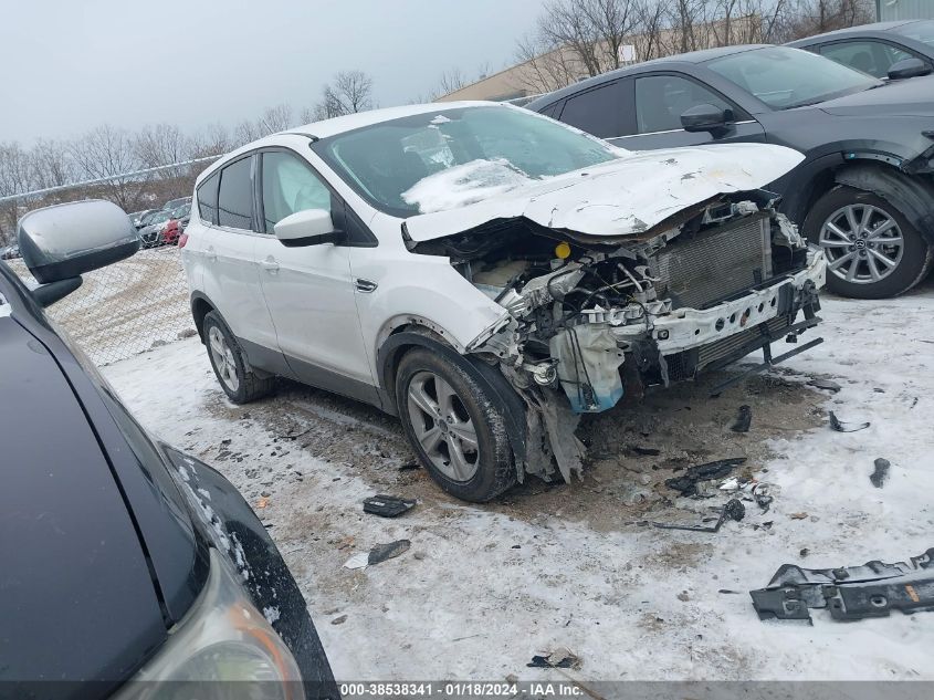 2014 FORD ESCAPE SE - 1FMCU0GX7EUC82931