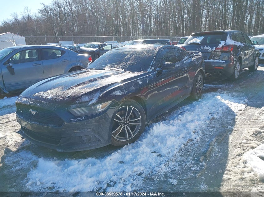 VIN 1FA6P8TH7H5282003 2017 FORD MUSTANG