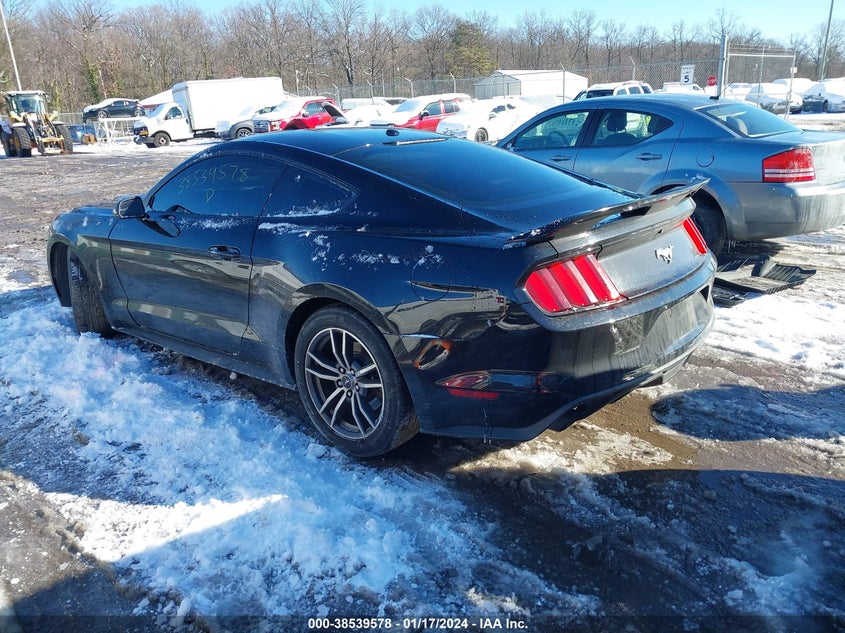 VIN 1FA6P8TH7H5282003 2017 FORD MUSTANG