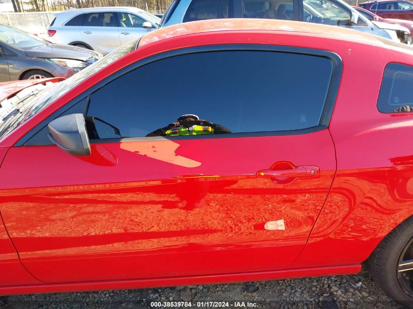 2014 FORD MUSTANG V6 - 1ZVBP8AMXE5324441