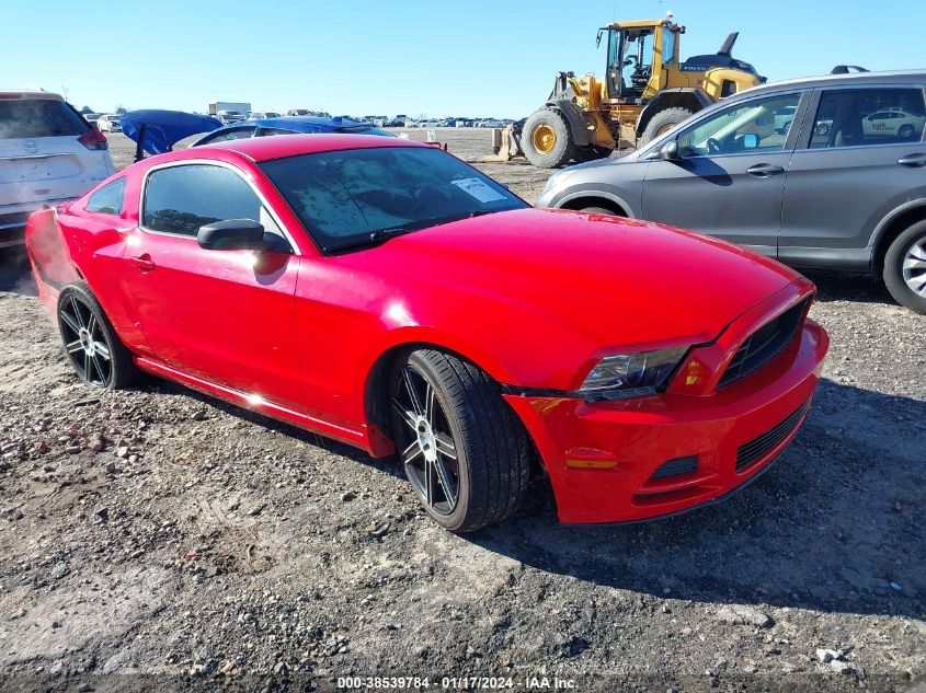 2014 FORD MUSTANG V6 - 1ZVBP8AMXE5324441