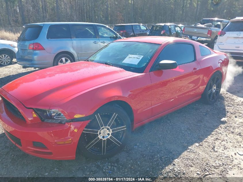 2014 FORD MUSTANG V6 - 1ZVBP8AMXE5324441
