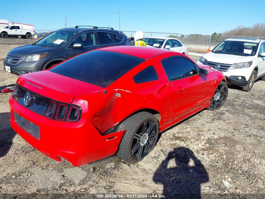 2014 FORD MUSTANG V6 - 1ZVBP8AMXE5324441