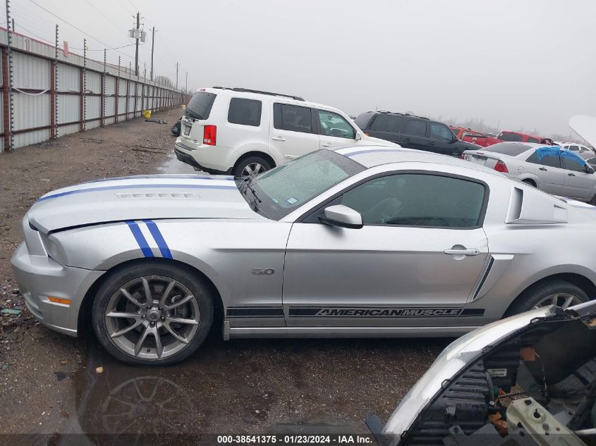 2014 FORD MUSTANG GT - 1ZVBP8CF5E5254300