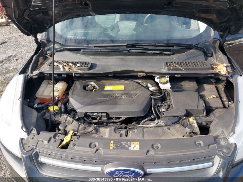 2013 FORD ESCAPE SE - 1FMCU0GX1DUD48436