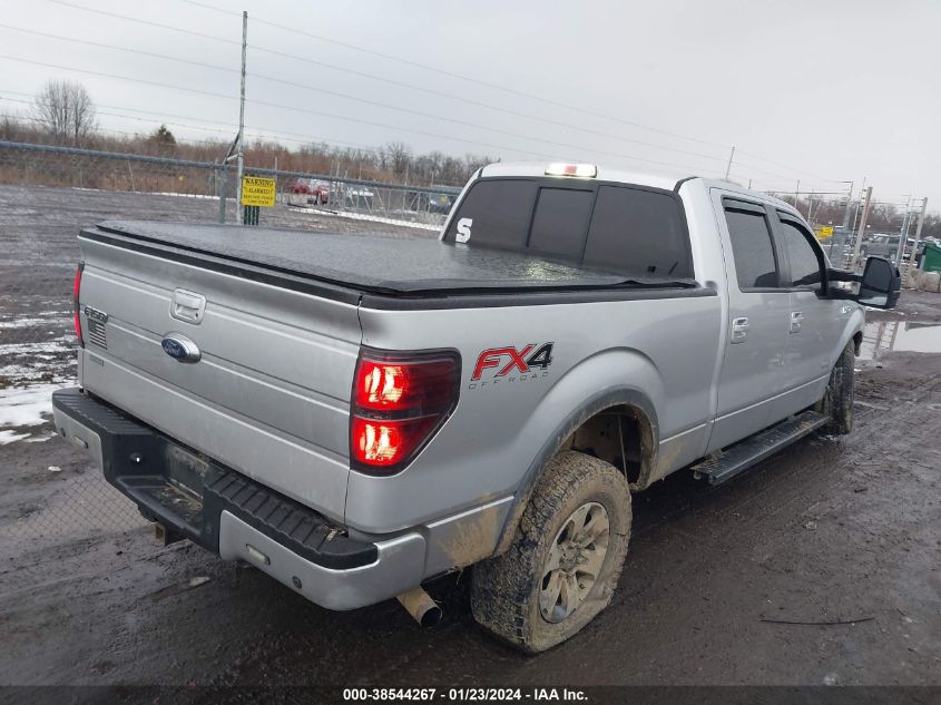 2014 FORD F-150 FX4 - 1FTFW1ET5EKG03541