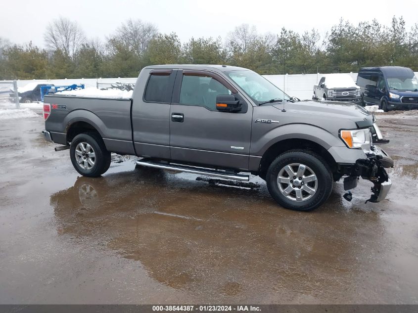 2013 FORD F-150 XLT - 1FTFX1ET6DFB93191