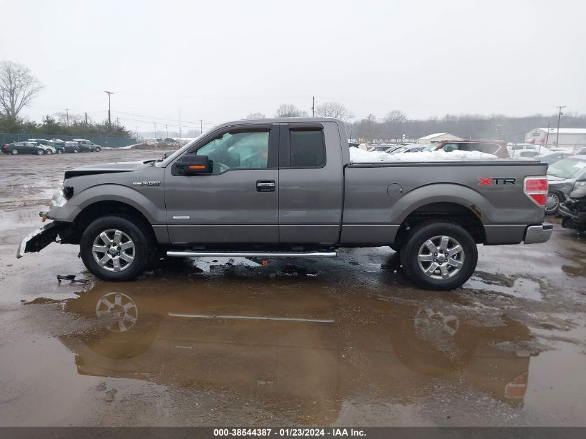 2013 FORD F-150 XLT - 1FTFX1ET6DFB93191