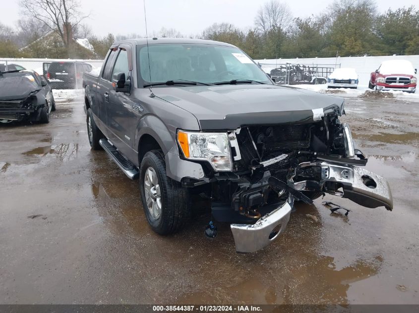 2013 FORD F-150 XLT - 1FTFX1ET6DFB93191