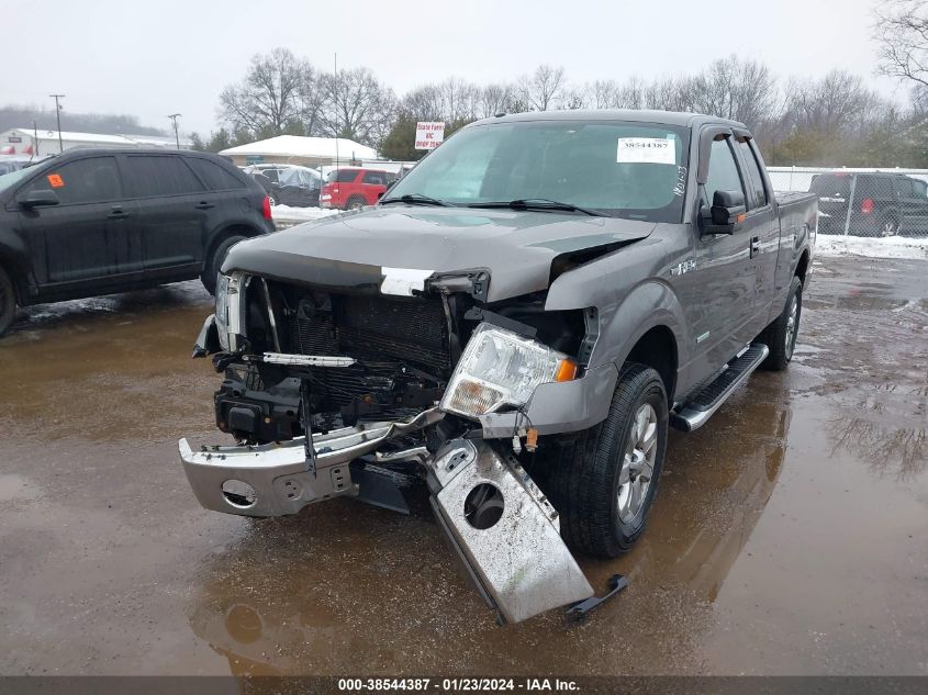 2013 FORD F-150 XLT - 1FTFX1ET6DFB93191