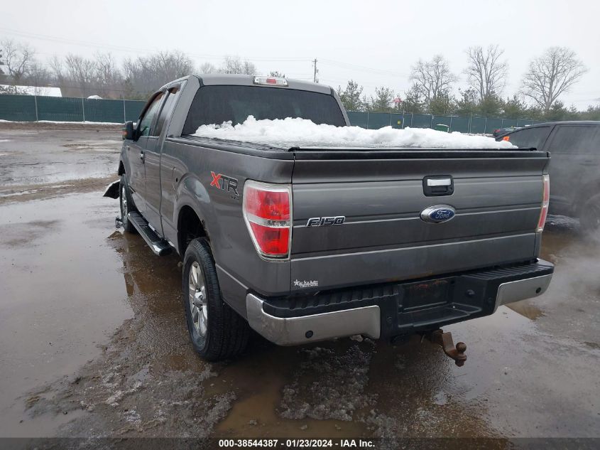 2013 FORD F-150 XLT - 1FTFX1ET6DFB93191