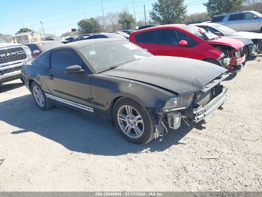 2013 FORD MUSTANG V6 - 1ZVBP8AMXD5226184