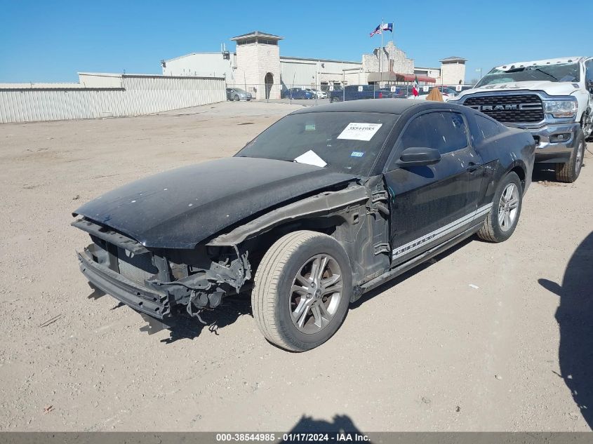 2013 FORD MUSTANG V6 - 1ZVBP8AMXD5226184