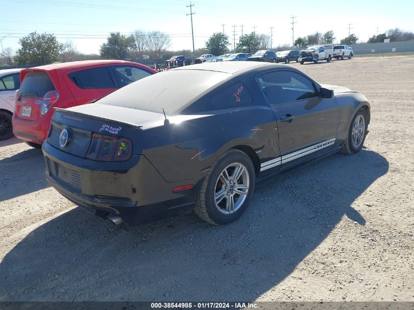 2013 FORD MUSTANG V6 - 1ZVBP8AMXD5226184