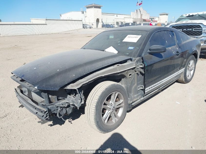 2013 FORD MUSTANG V6 - 1ZVBP8AMXD5226184