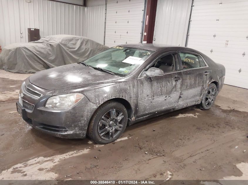 1G1ZB5EB4A4135591 | 2010 CHEVROLET MALIBU