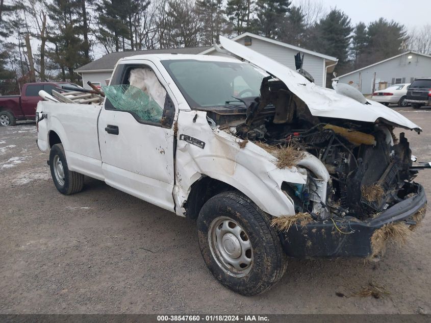 2019 FORD F-150 XL - 1FTMF1EB8KKD32419