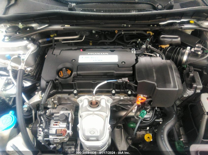 2013 HONDA ACCORD EX-L - 1HGCR2F81DA183891