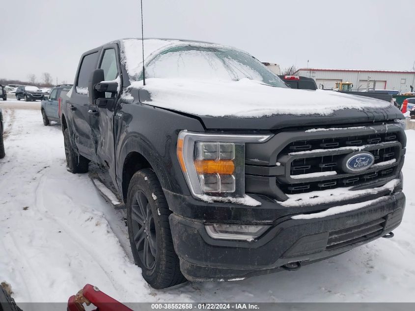 2022 FORD F-150 XLT - 1FTFW1E51NFB92875