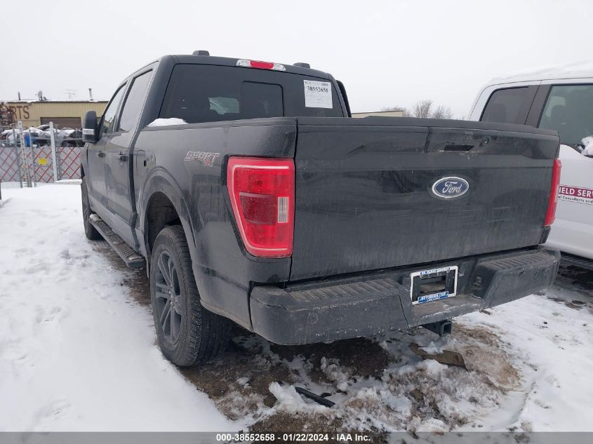 2022 FORD F-150 XLT - 1FTFW1E51NFB92875