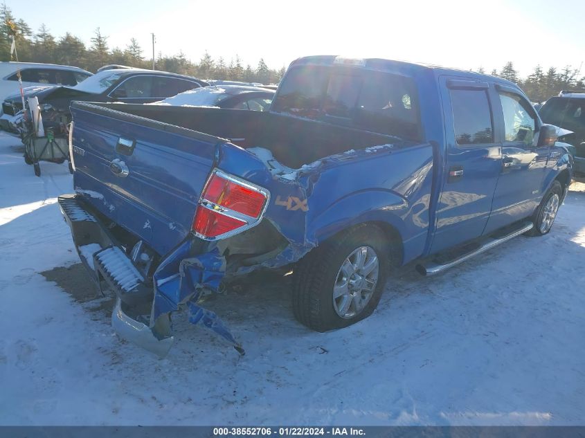 2014 FORD F-150 XLT - 1FTFW1ET2EKD28372