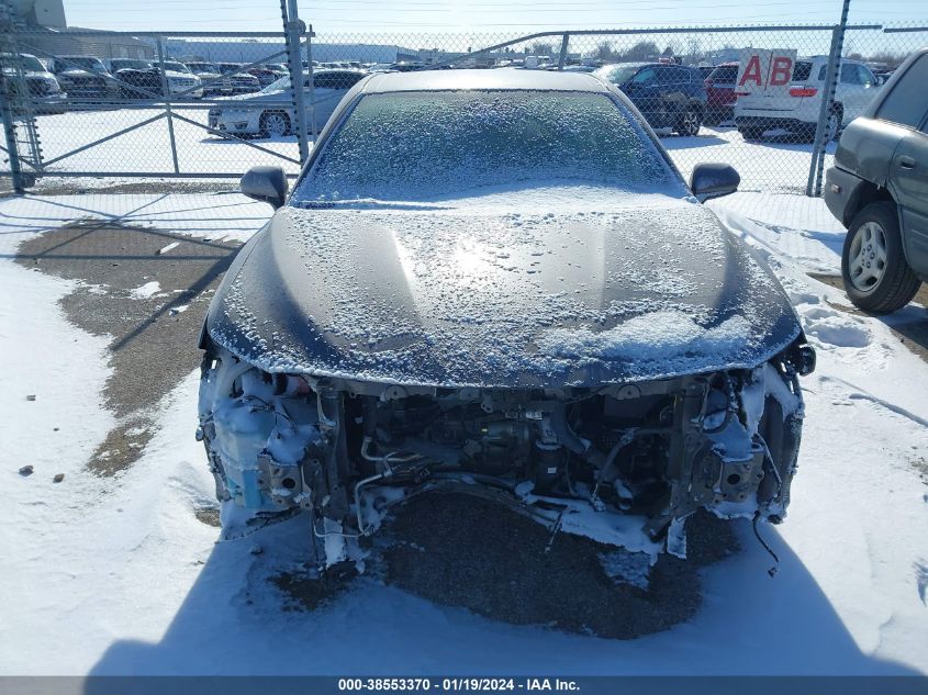 2019 TOYOTA CAMRY L/LE/XLE/SE/XSE - 4T1B11HK1KU781328