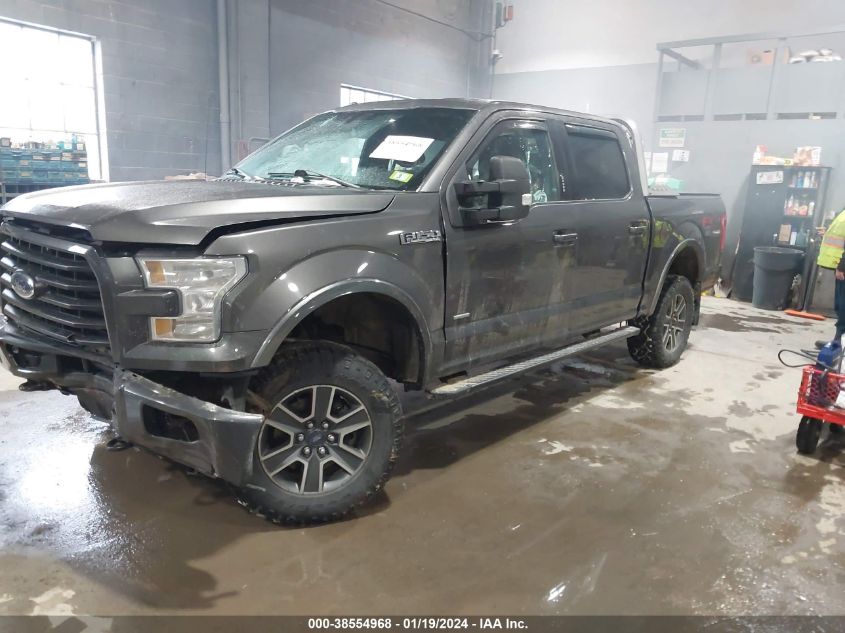 2015 FORD F-150 XLT - 1FTEW1EG5FKF19364