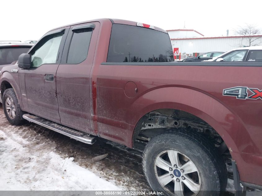 2015 FORD F-150 XLT - 1FTEX1EPXFFC00337
