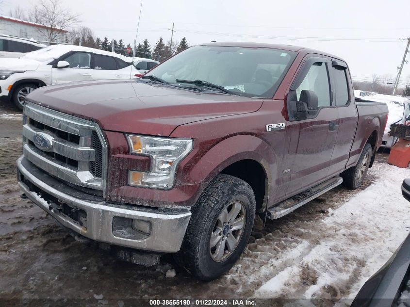 2015 FORD F-150 XLT - 1FTEX1EPXFFC00337