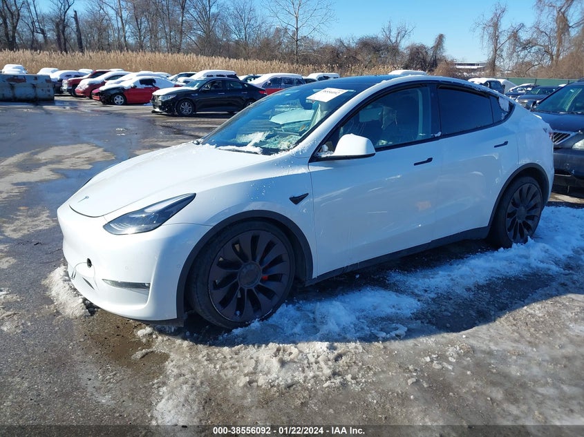 VIN 7SAYGDEF7NF308409 2022 TESLA MODEL Y