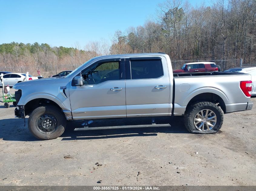 2023 FORD F-150 LIMITED - 1FTFW1ED7PFA11921