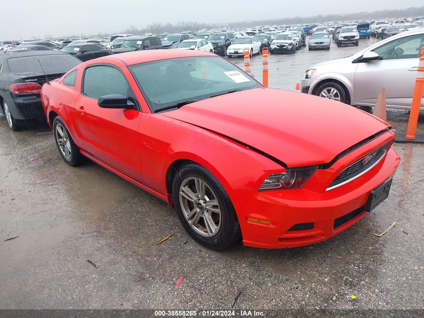 1ZVBP8AM7E5242523 2014 FORD MUSTANG