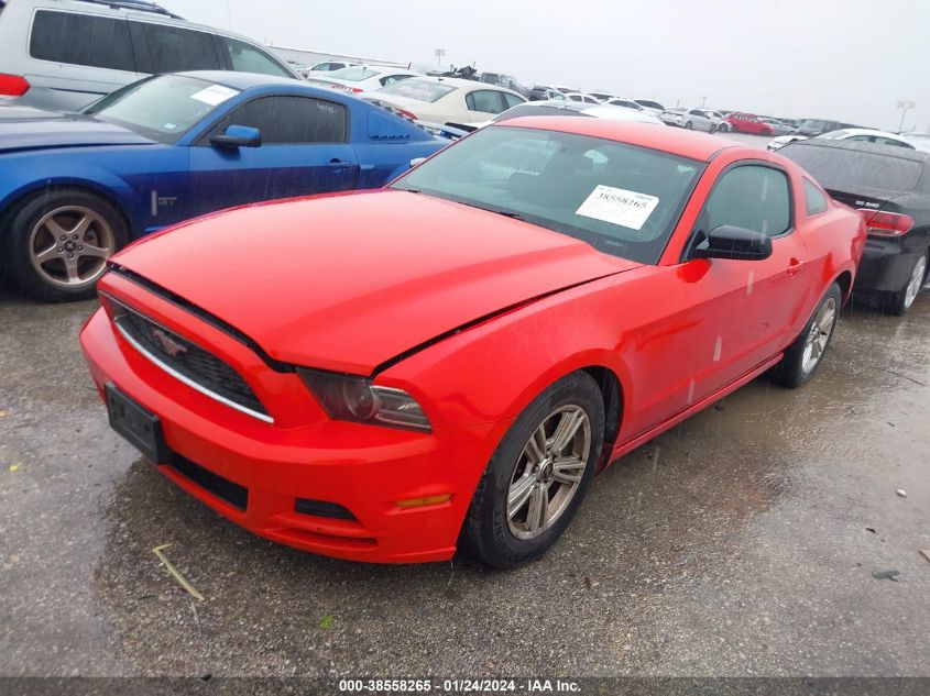 1ZVBP8AM7E5242523 2014 FORD MUSTANG, photo no. 2