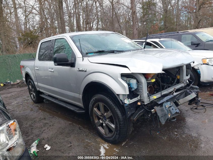 2015 FORD F-150 XLT - 1FTEW1EF0FFC59178