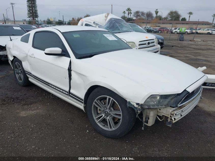 Lot #2530023252 2013 FORD MUSTANG V6 PREMIUM salvage car